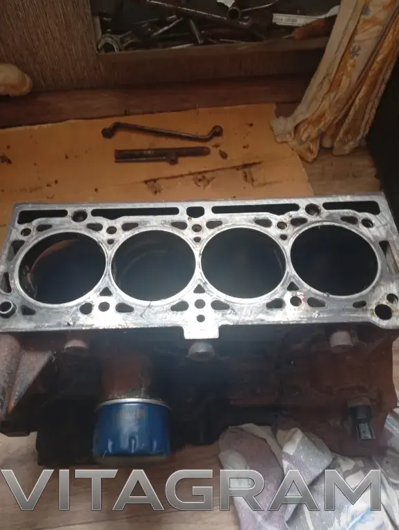 Блок цилиндров Рено Логан 1.6