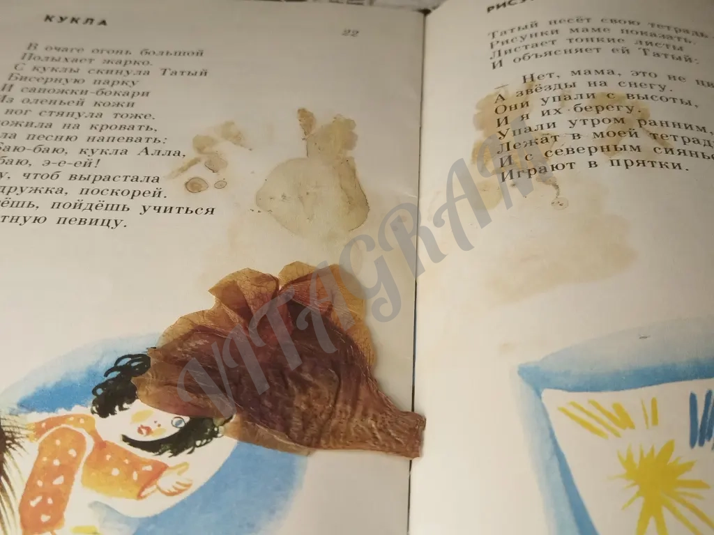 Приезжайте в тундру к нам. Книжка с сухоцветом. От него, собственно имеется пятно времени. Кроме этого внутри чистая.для дошкольного возраста