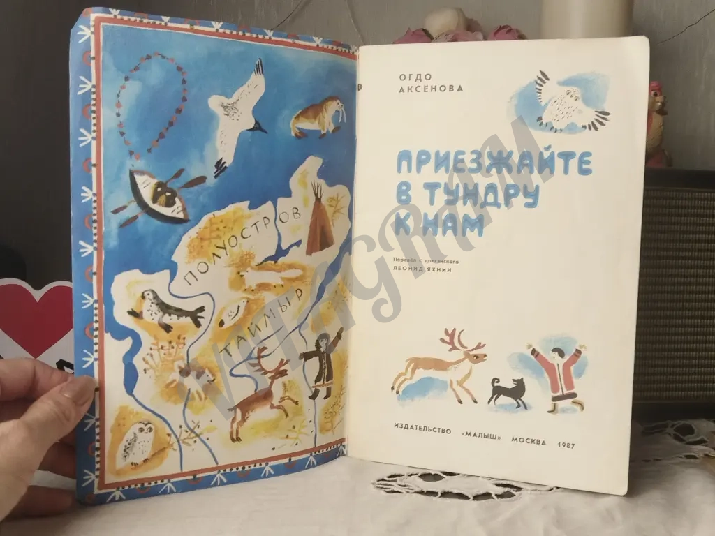 Приезжайте в тундру к нам. Книжка с сухоцветом. От него, собственно имеется пятно времени. Кроме этого внутри чистая.для дошкольного возраста