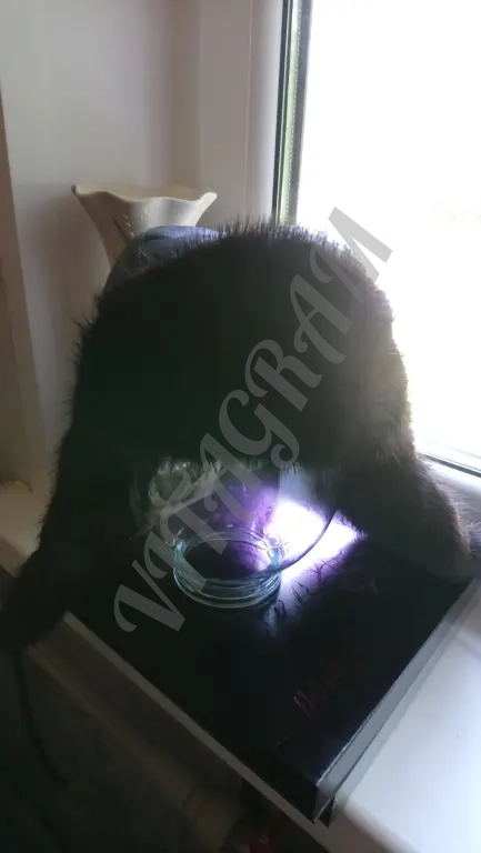 Шапка ушанка норковая