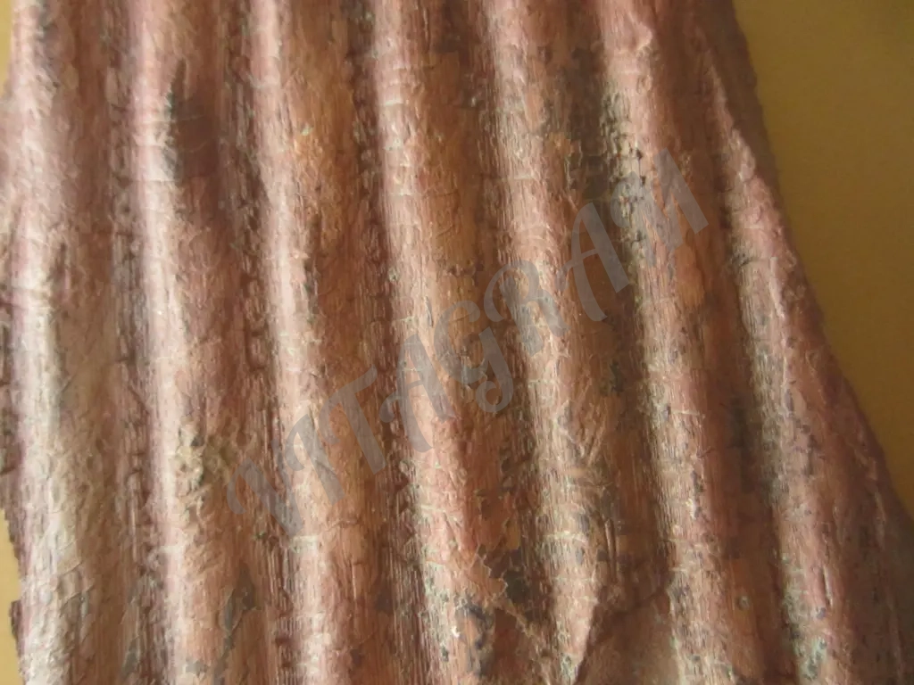 Фрагмент обескоренного ствола сигиллярии Sigillaria sp