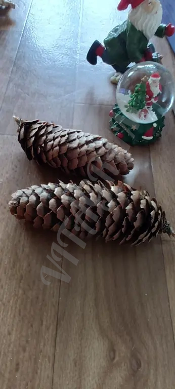 Шишки еловые отборные