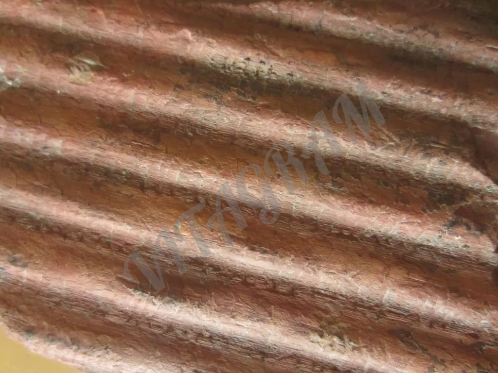 Фрагмент обескоренного ствола сигиллярии Sigillaria sp