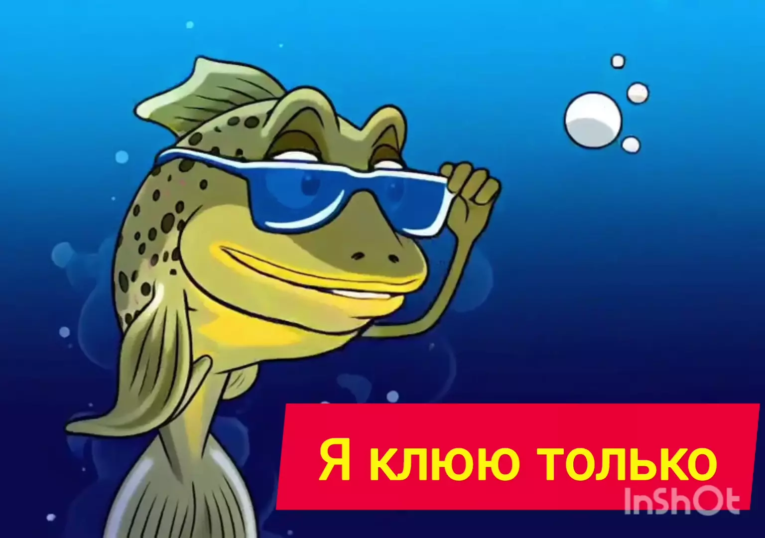 Мотыль насадочный