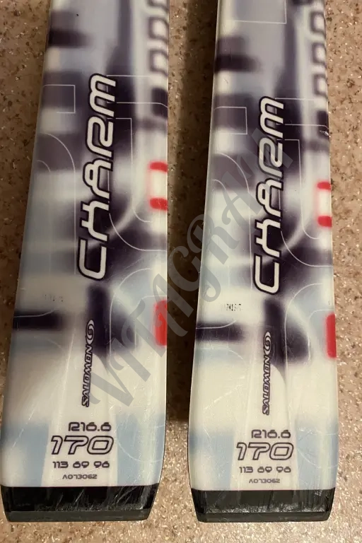 Горные лыжи Salomon