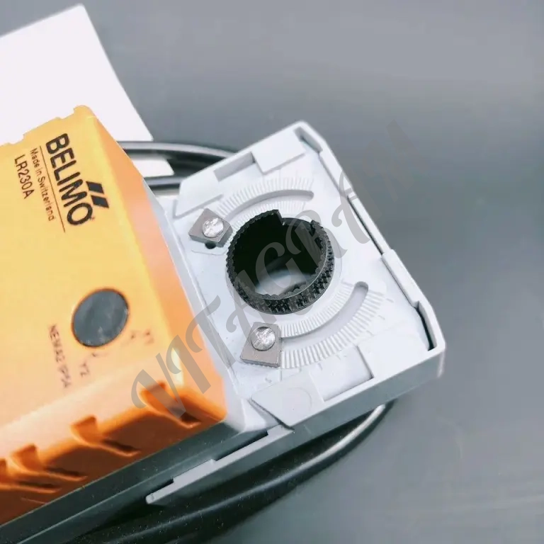 Belimo Клапан R225 + Привод LR230A