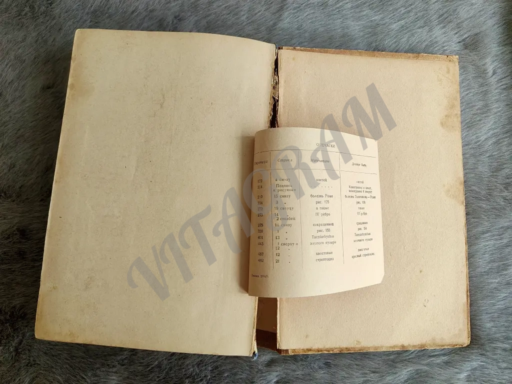 Диагностика внутренних болезней, Черноруцкий