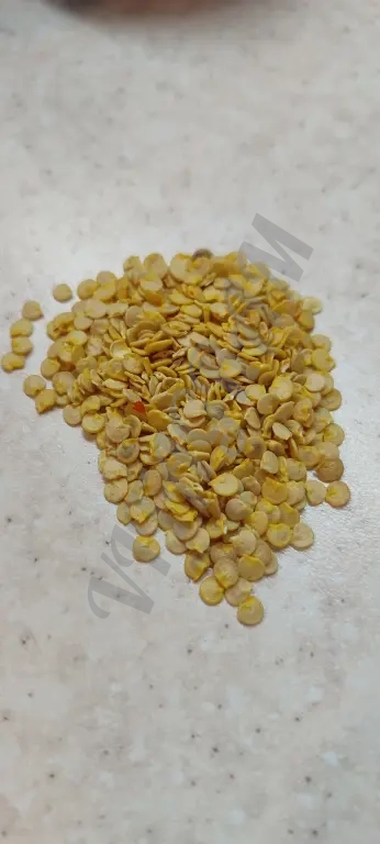 Семена болгарского перца