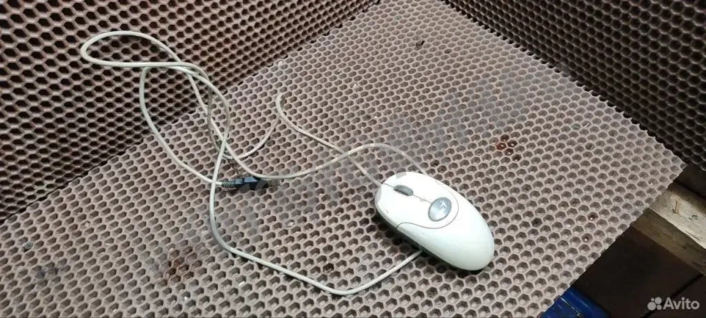Компьютерная мышь
