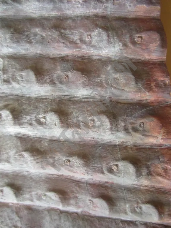 Окаменелость. Сигиллярия Sigillaria mamillaris