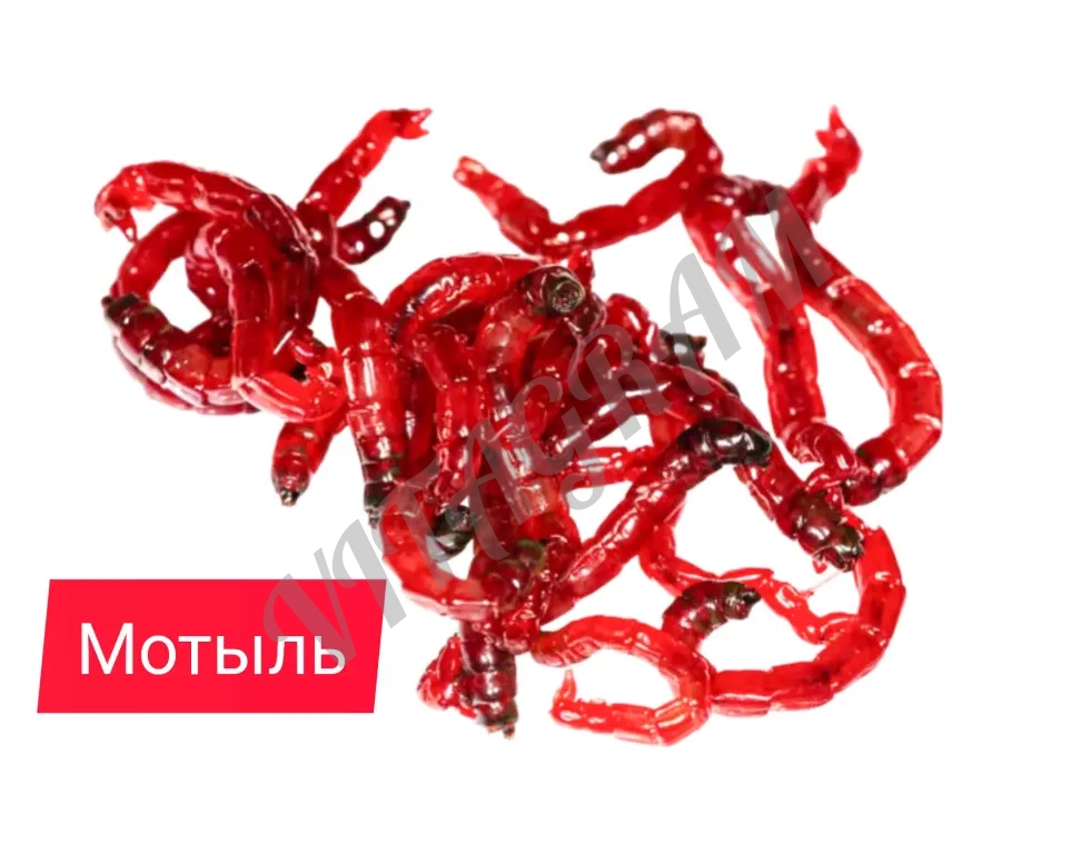 Мотыль насадочный