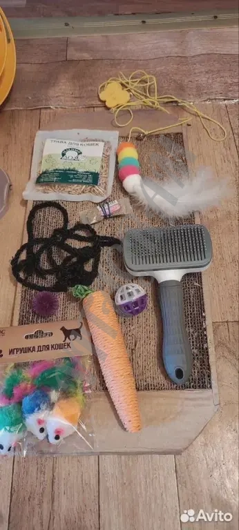 Набор начинающего котовода :)