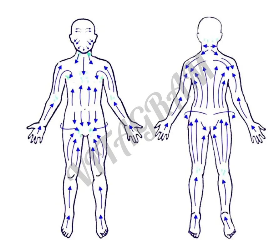 Массаж классический оздоровительный