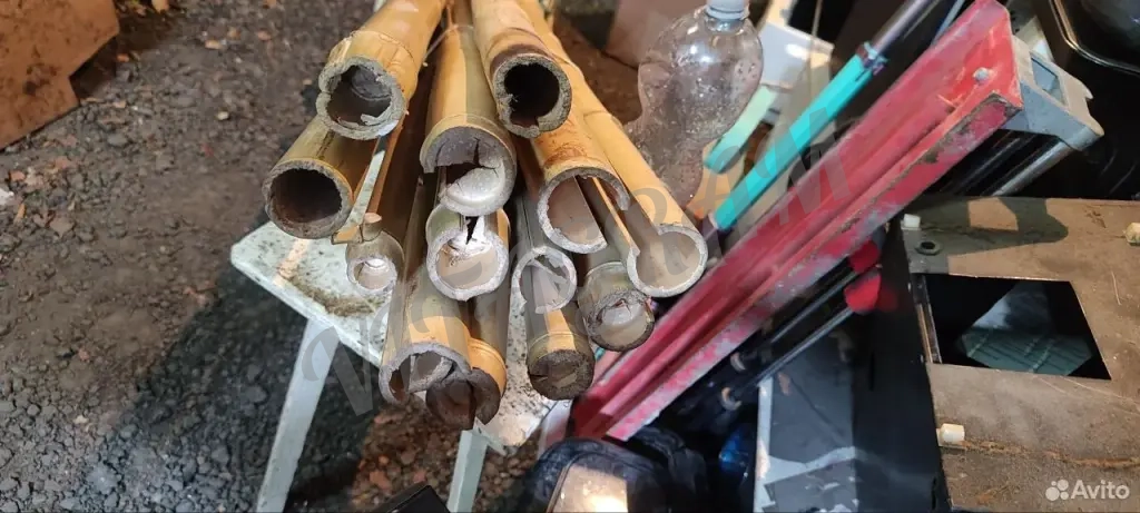 Стебель ствол бамбука