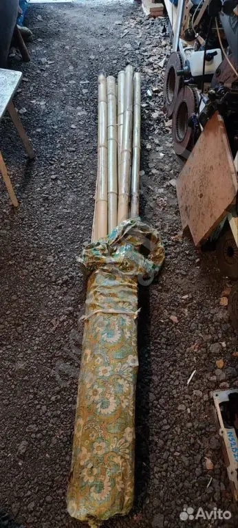 Стебель ствол бамбука