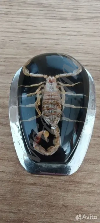 Кулон с настоящим скорпионом