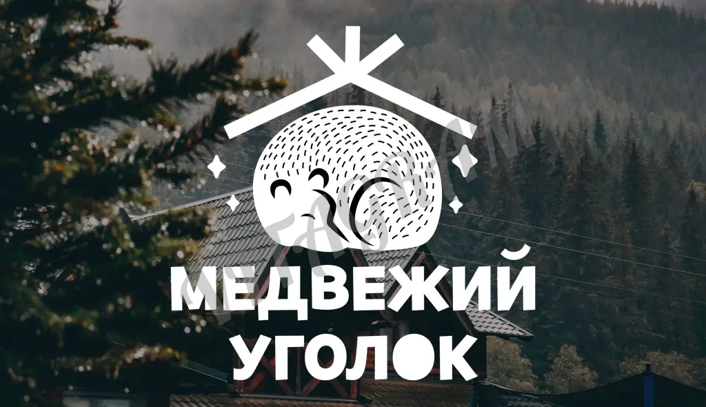 Графический Дизайн/Разработка логотипа