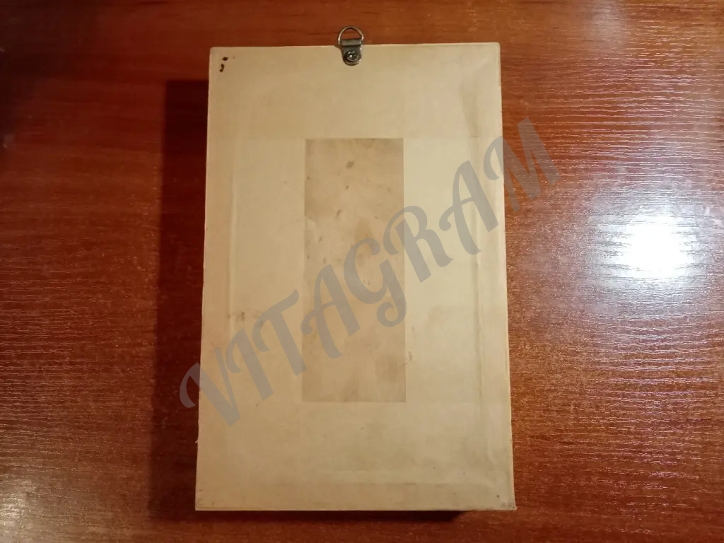 Коллекция бабочек