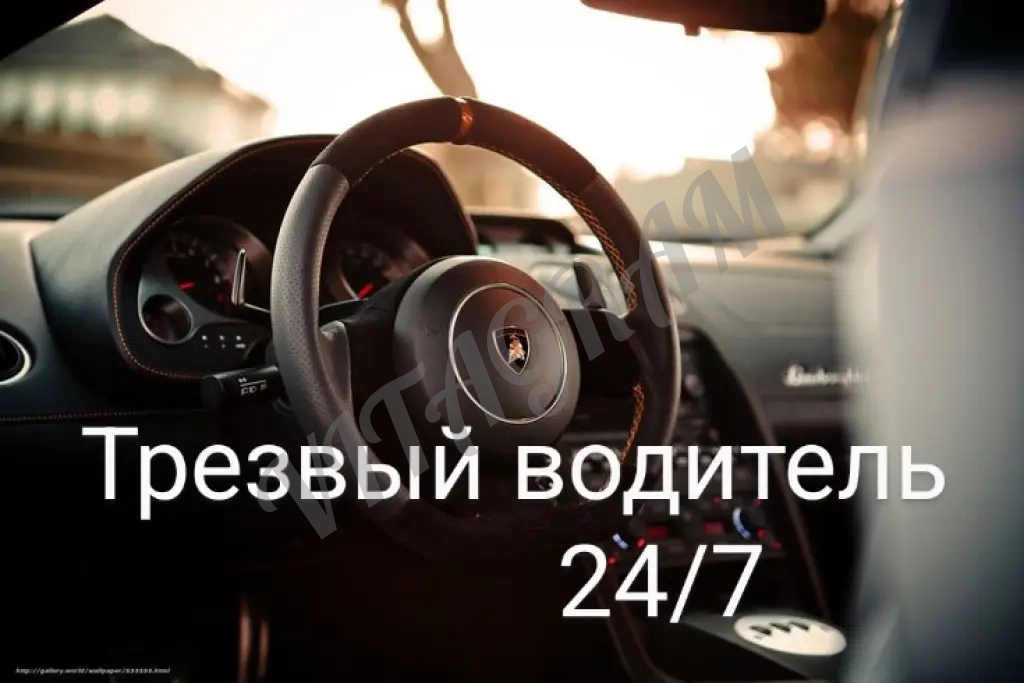 трезвый водитель по спб и ло