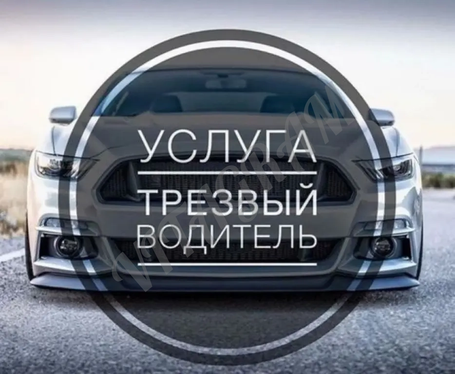 трезвый водитель по спб и ло