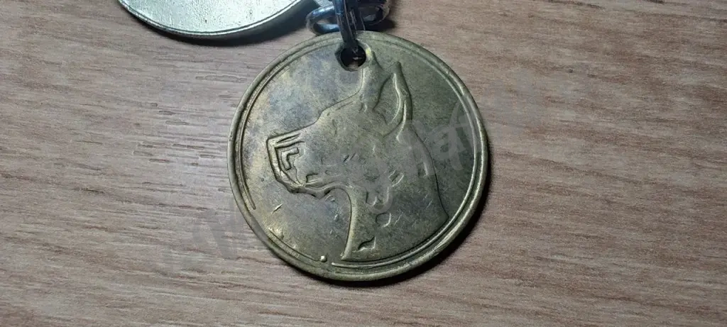 Медали СССР ДОСААФ