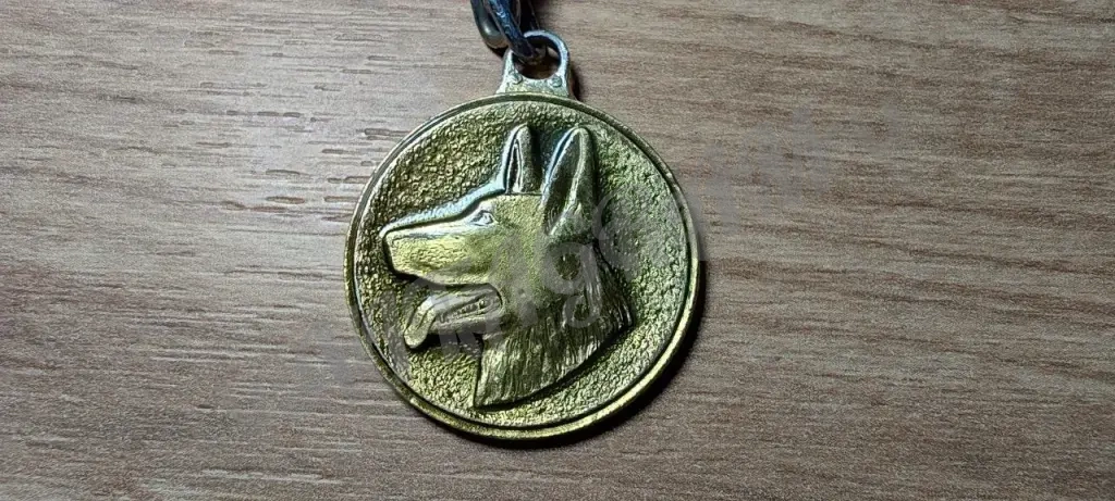 Медали СССР ДОСААФ