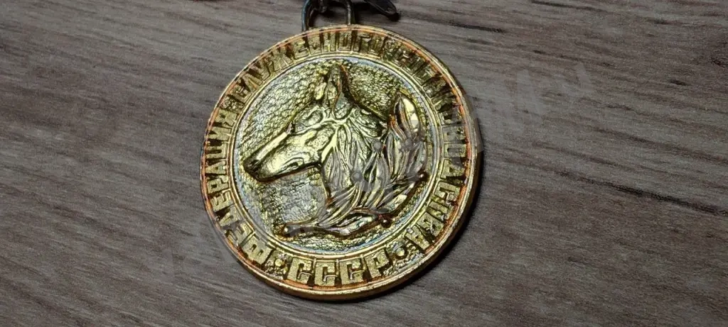 Медали СССР ДОСААФ