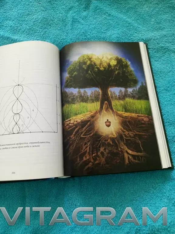 Аугустинас Ракаускас Глобальный дух разума. Чувства